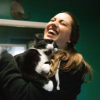faqs archer road pet resort archer florida