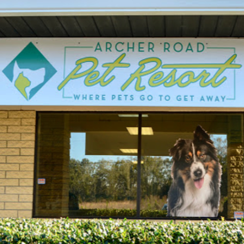 contact archer road pet resort archer florida